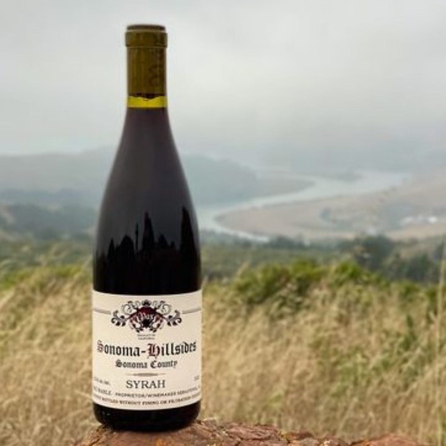 Pax Syrah, Sonoma Hillsides 2023 (750 ml)