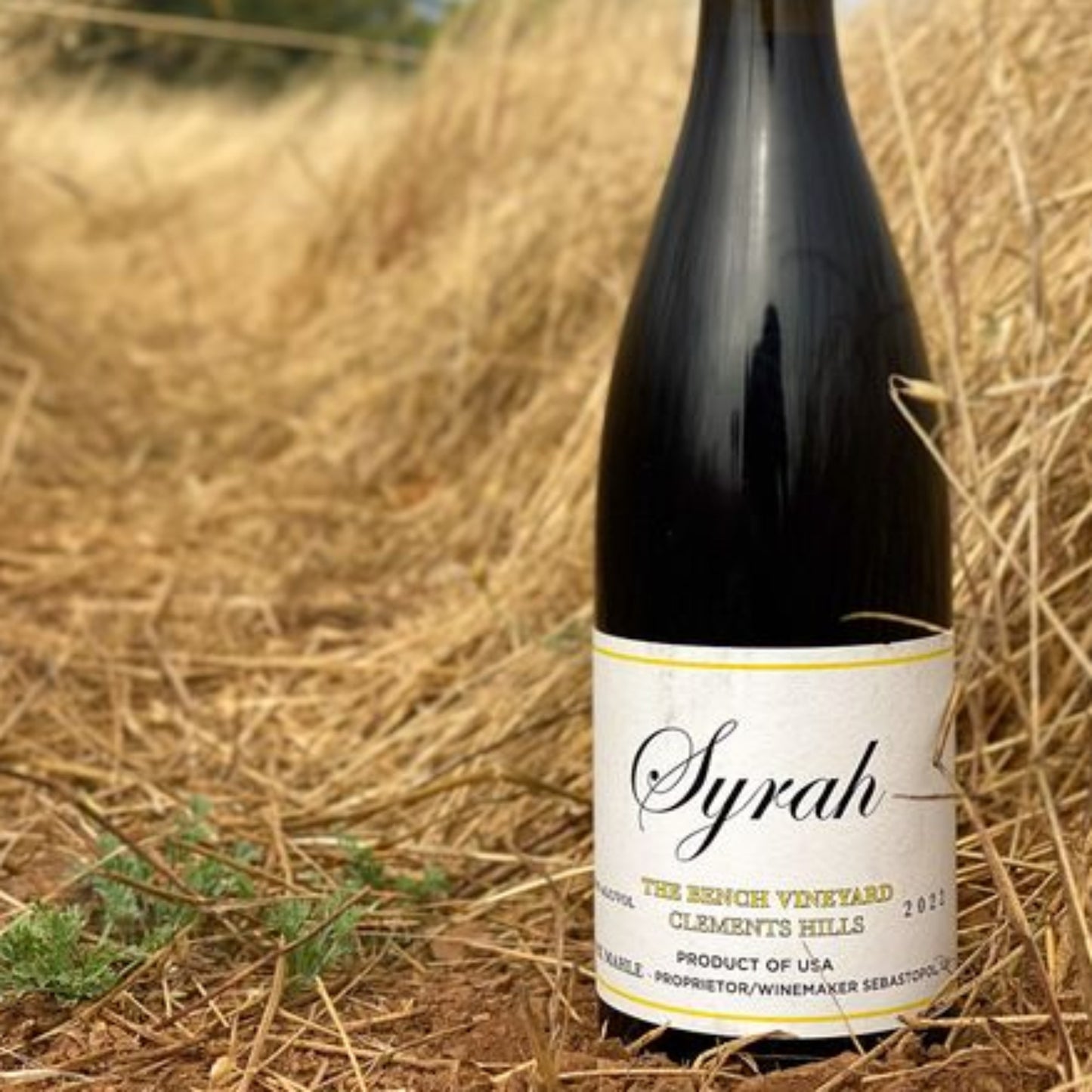 Pax Syrah, The Bench Vineyard, Clements Hills 2022 (750 ml)