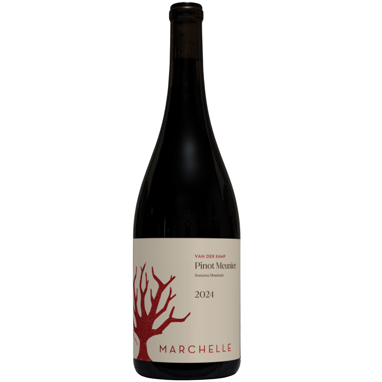 Marchelle van der Kamp Vineyard Pinot Meunier, Sonoma Mountain 2024 (750 ml)