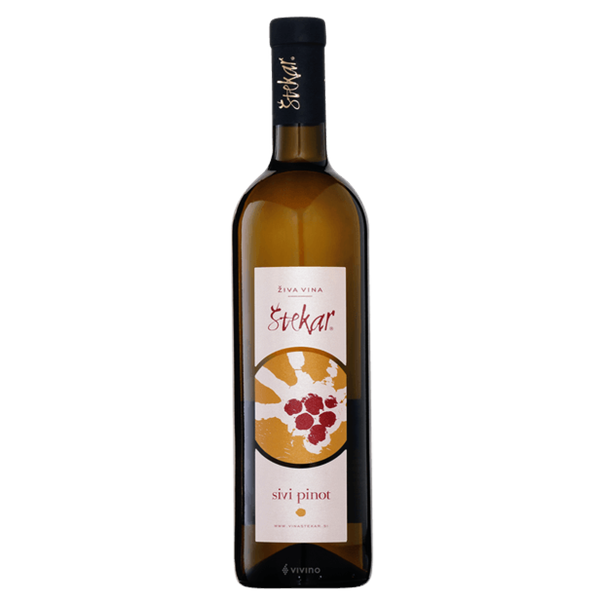 Stekar Sivi Pinot (Pinot Gris Skin Contact) 2023 (750 ml)