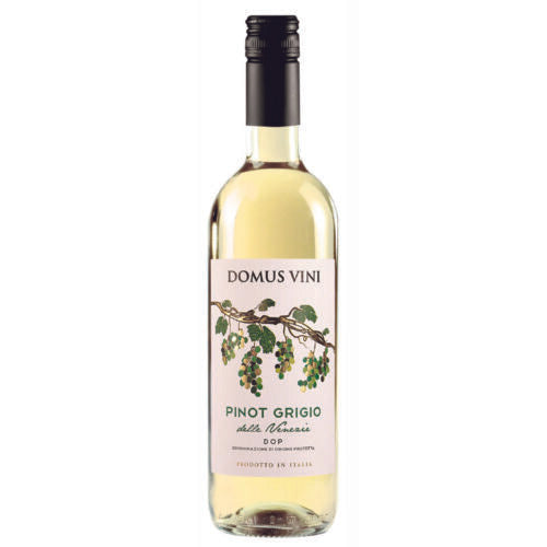 Domus Vini Pinot Grigio delle Venezie 2022 (750 ml)